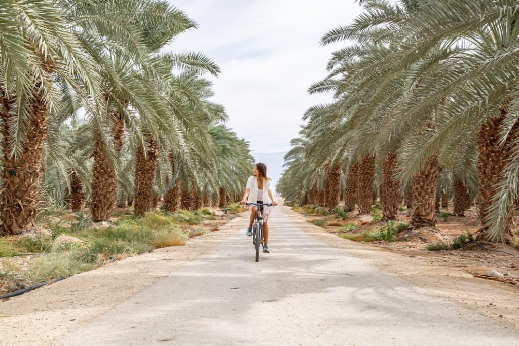 טיול אופניים בים המלח